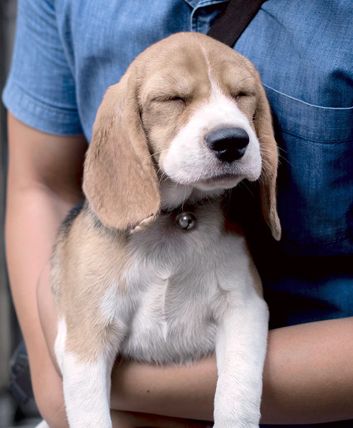 Cold Laser Therapy